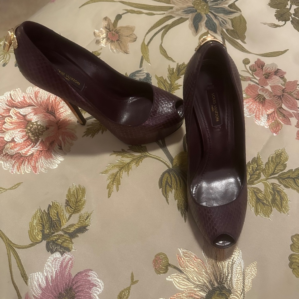 Louis Vuitton Elegant Shoes